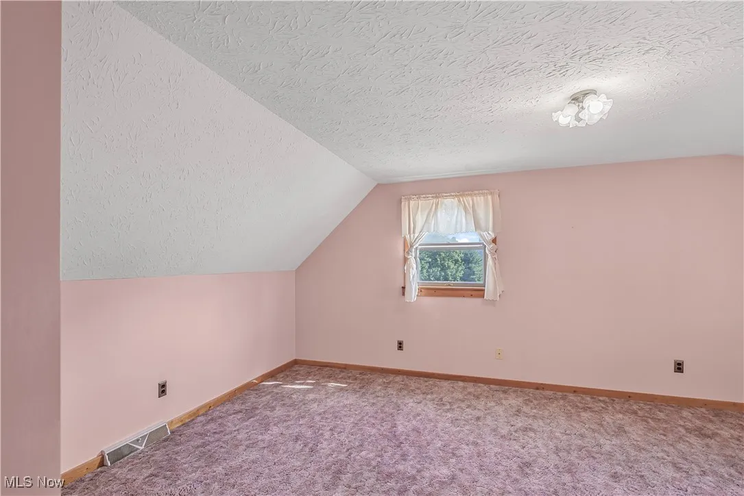 Additional living space featuring a textured ceiling, carpet, and vaulted ceiling