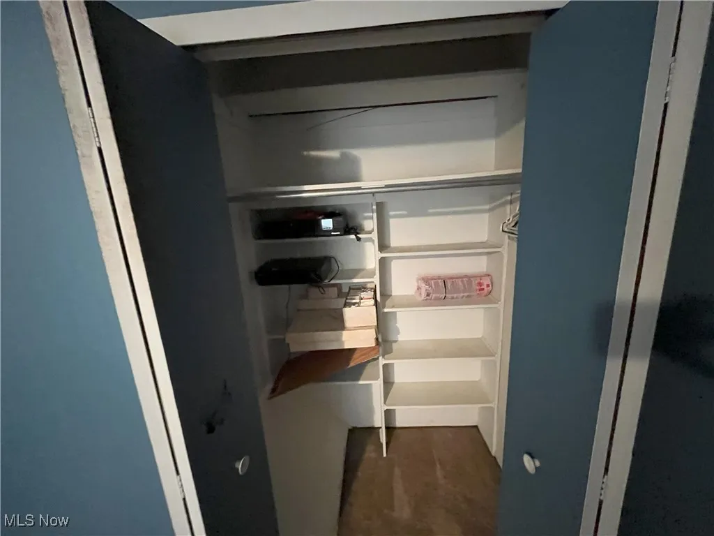 View of bedroom closet.