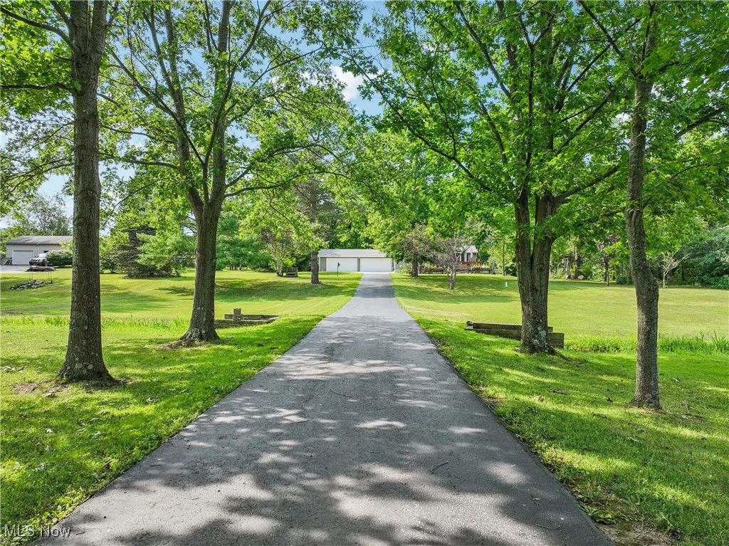 Surrounding community featuring a lawn and view of wooded area