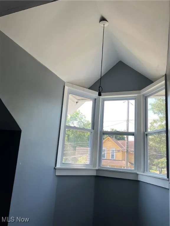 Bonus room with vaulted ceiling