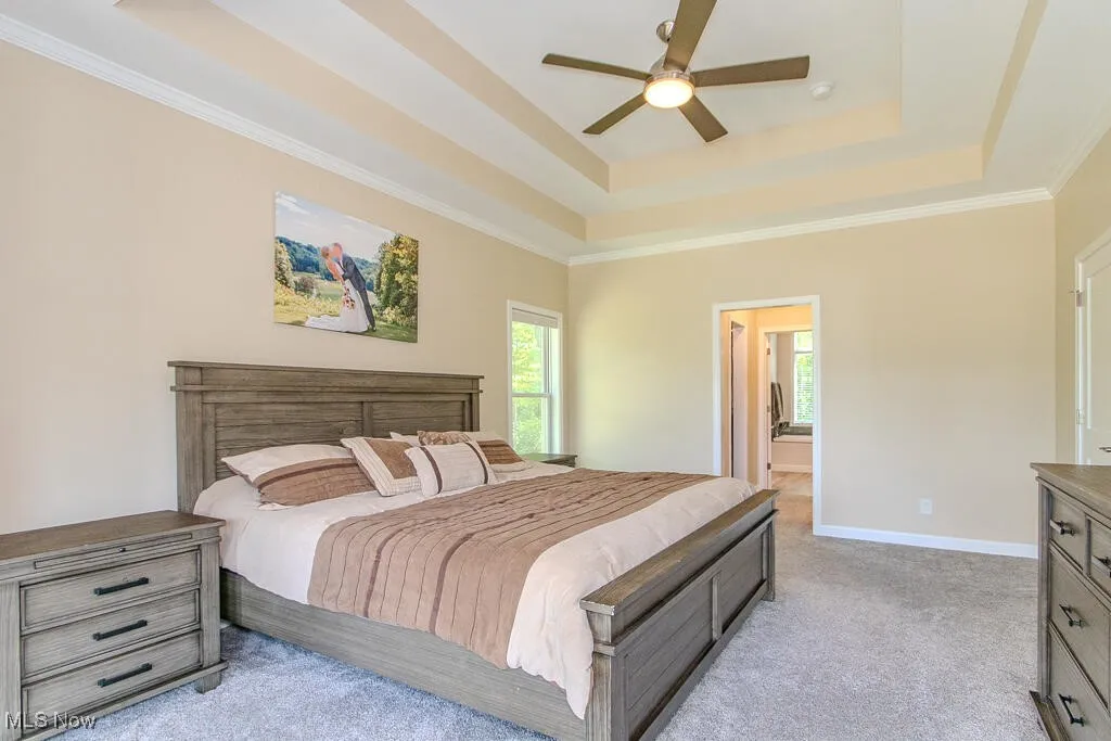 8675 Auburn Road, Chardon, Ohio 44024,MLS Now Listing ID