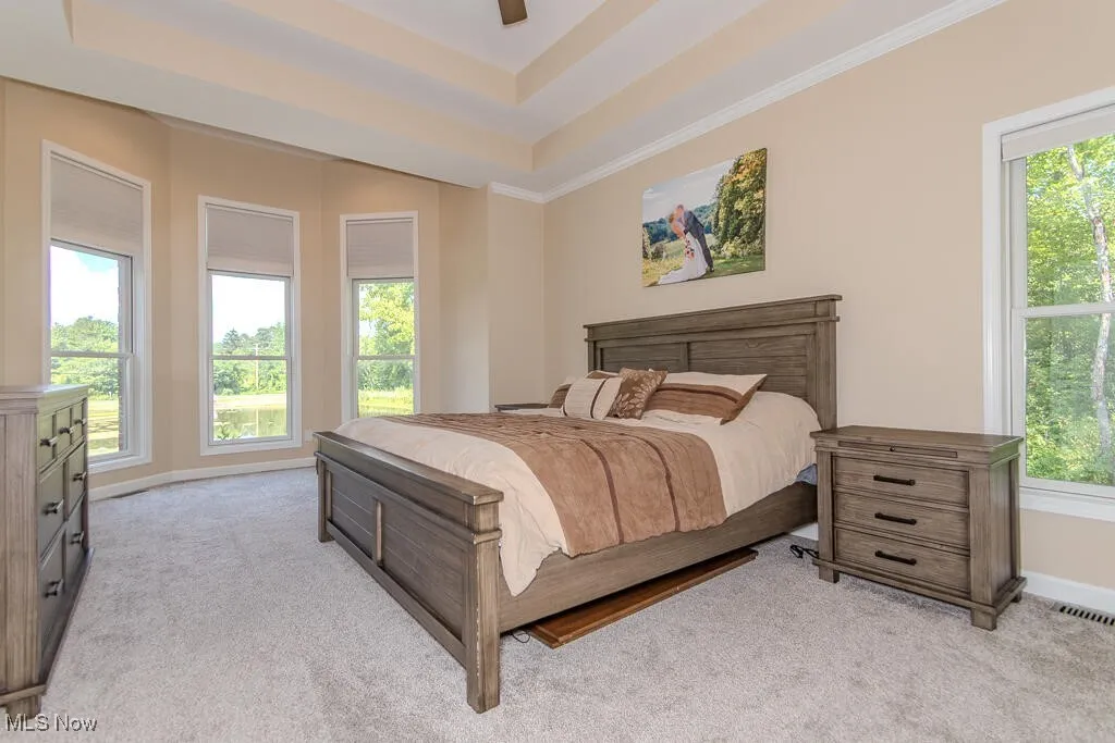 8675 Auburn Road, Chardon, Ohio 44024,MLS Now Listing ID