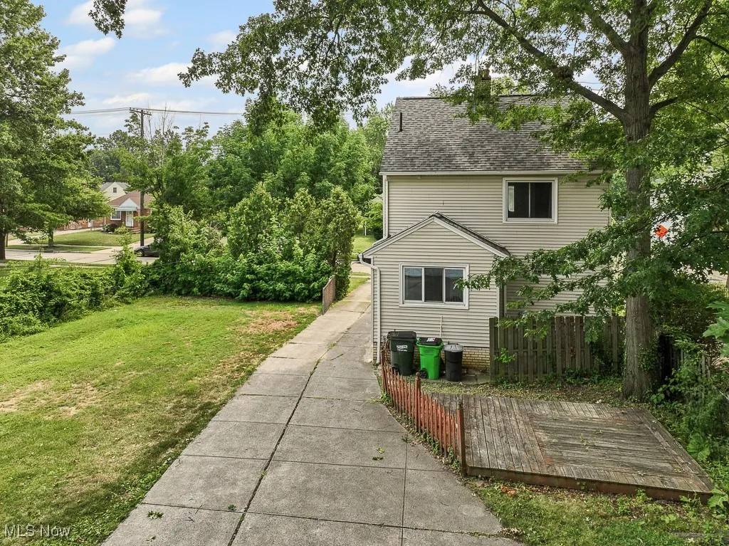 Back yard