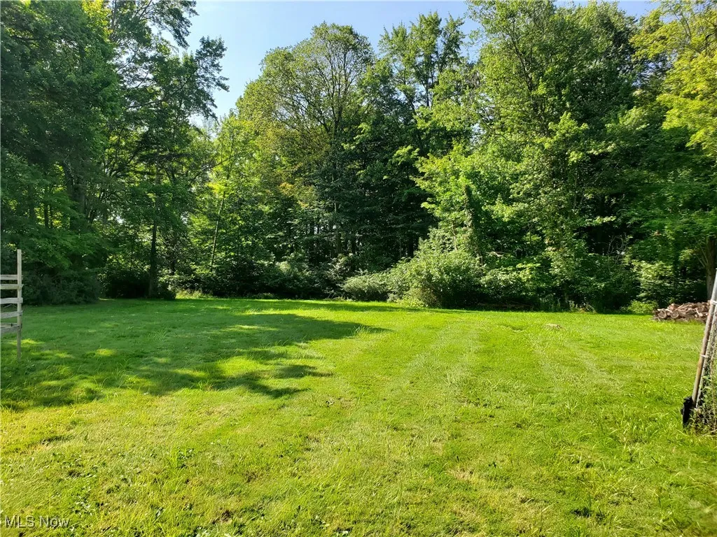 View of grassy yard