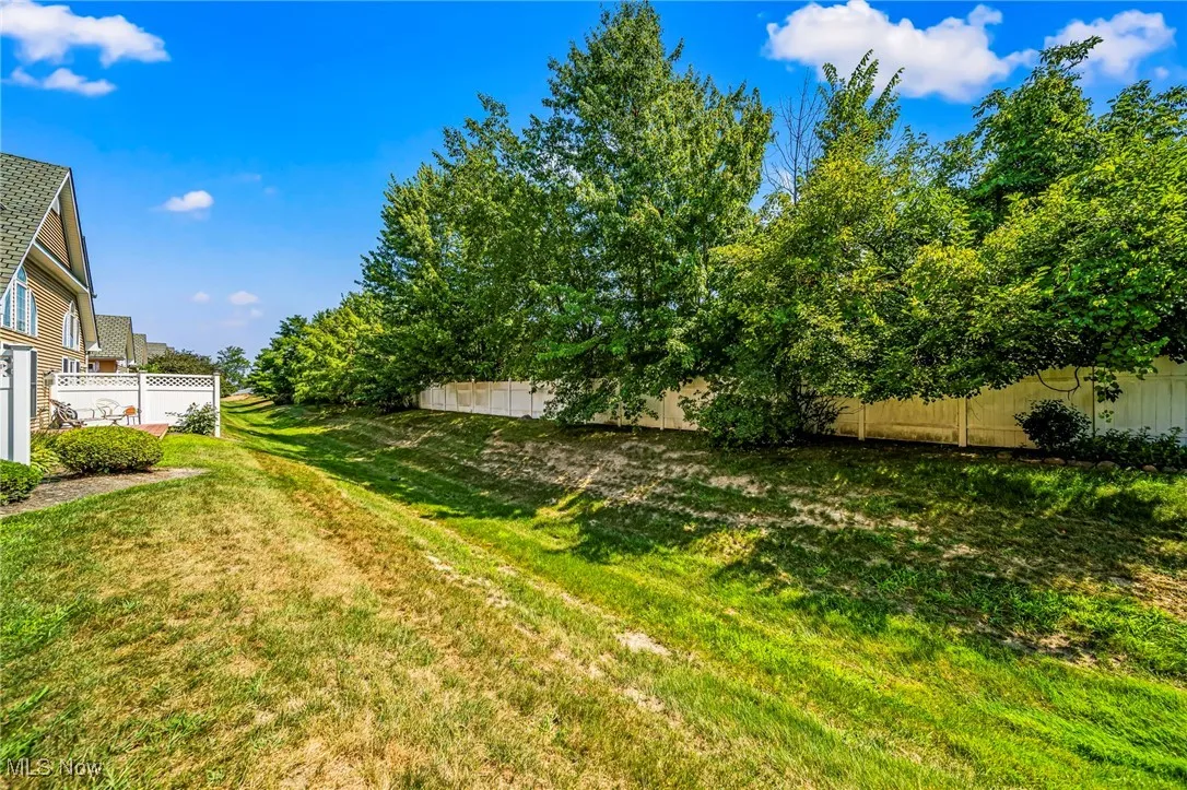View of fenced backyard