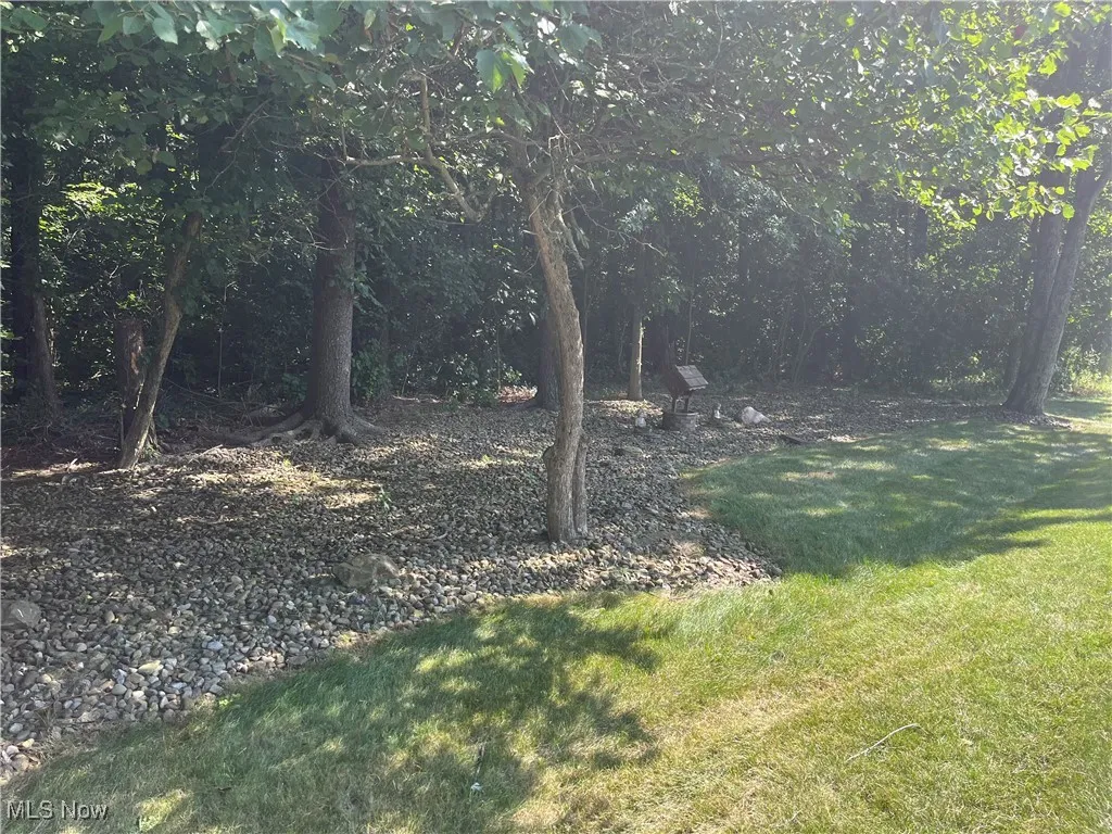 View of local wilderness