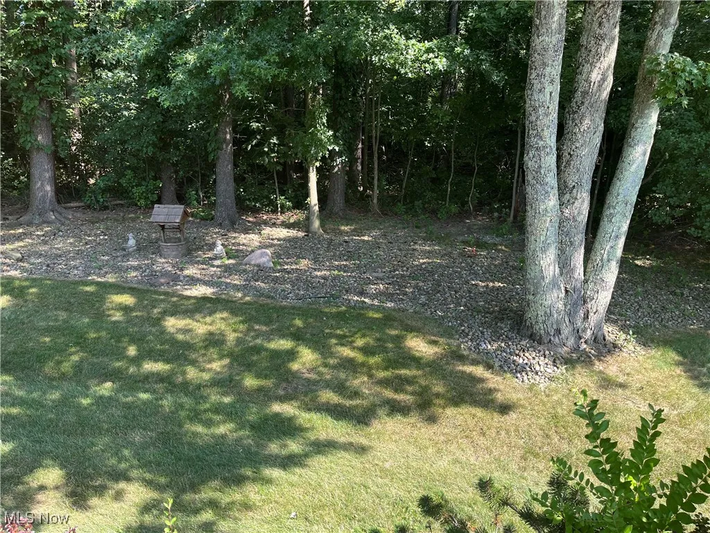 View of wooden back yard  and garden area
