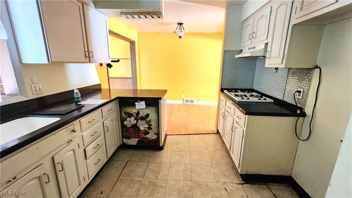 20211 Blackfoot Avenue, Euclid, Ohio 44117,MLS Now Listing ID
