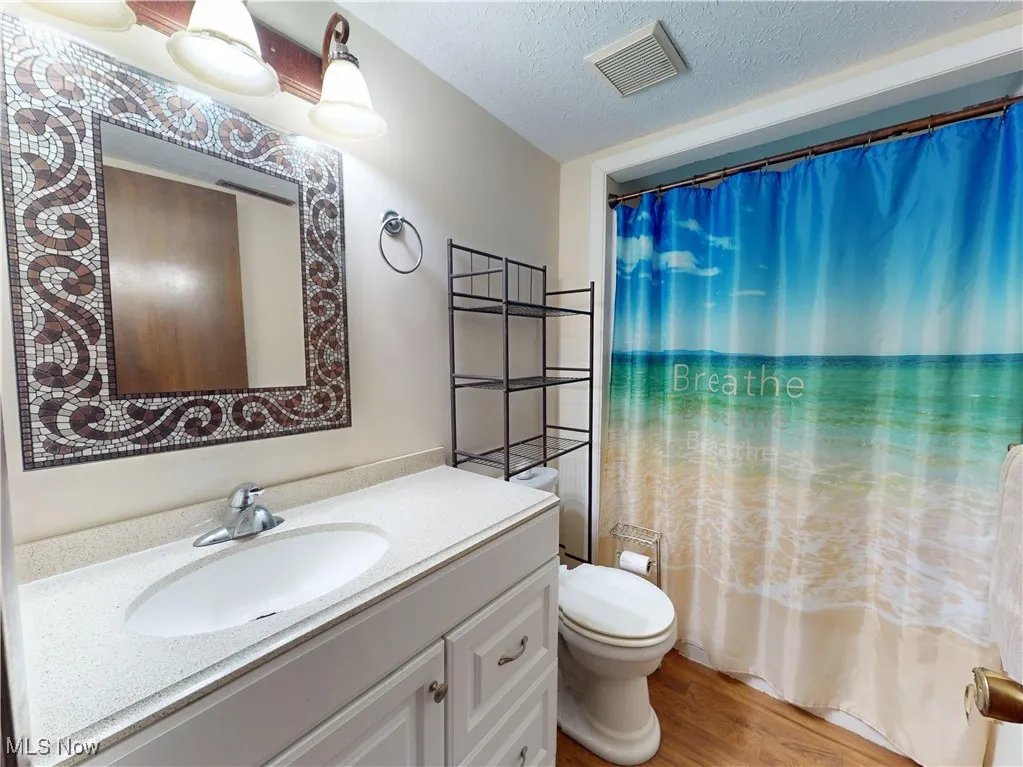 Bathroom featuring a textured ceiling, light wood-type flooring, and vanity