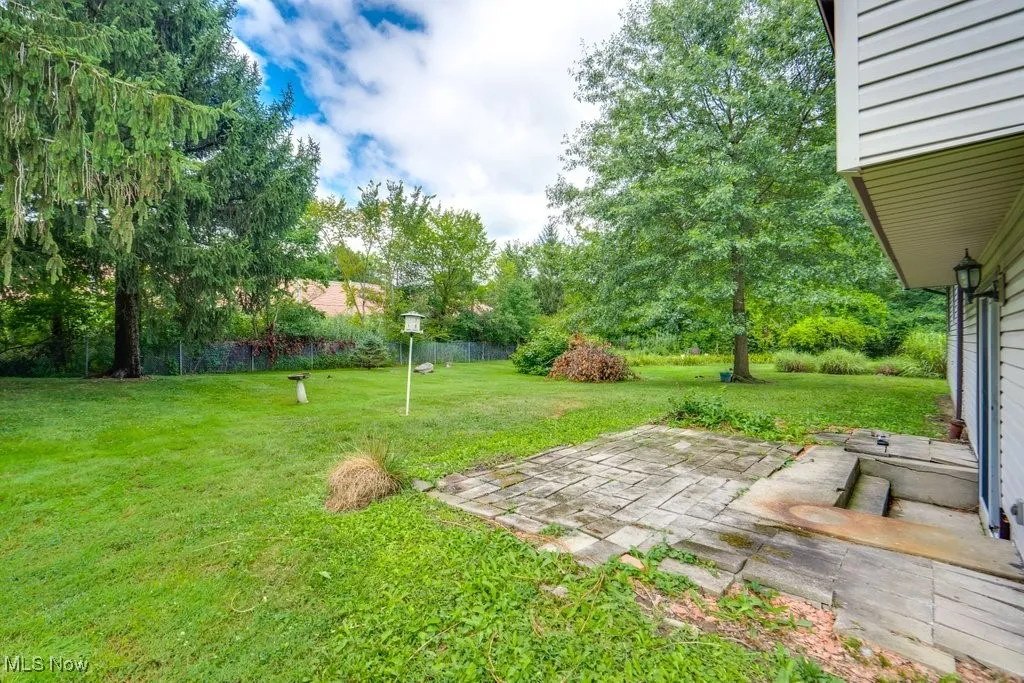 View of yard with a patio area and view of scattered trees
