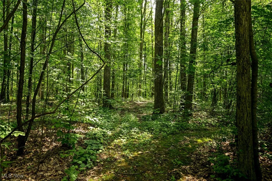 16995 Bundysburg Road, Middlefield, Ohio 44062,MLS Now Listing ID