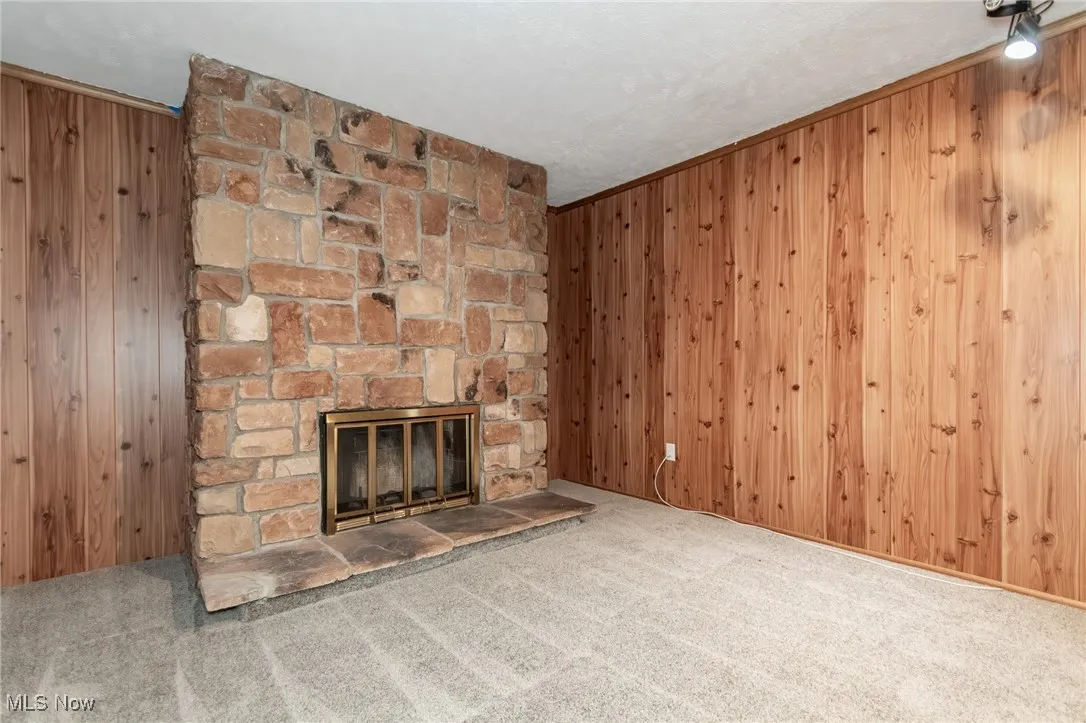 Family room with wood walls, a fireplace and carpeted floors
