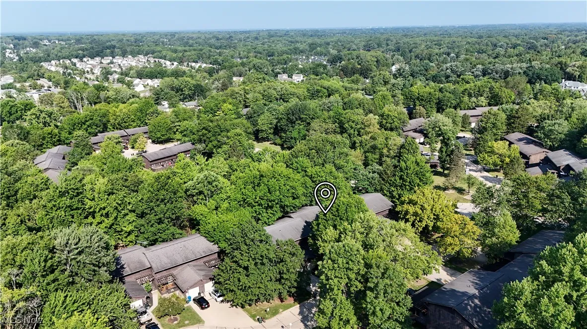 Drone / aerial view of a forest
