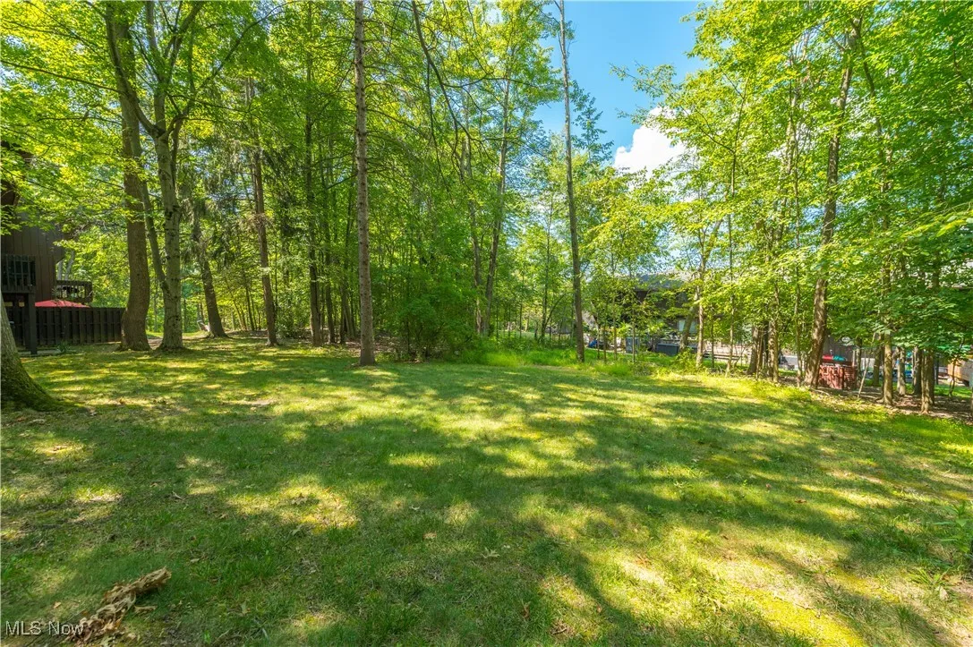View of grassy yard