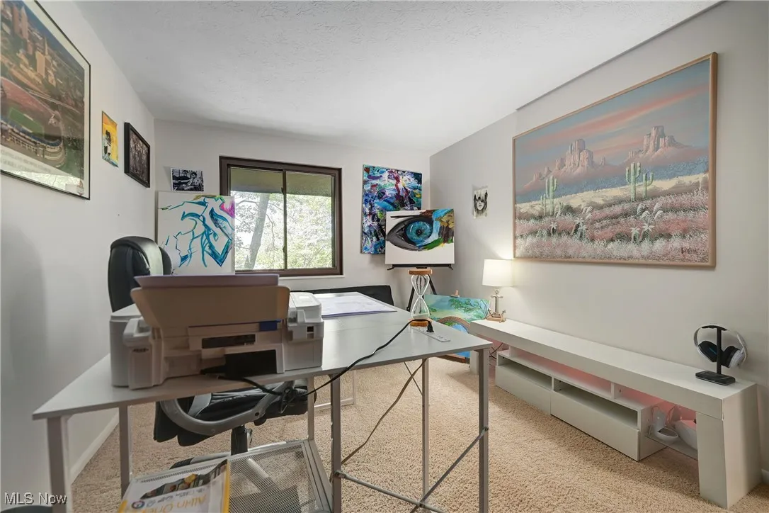 Office featuring light carpet and a textured ceiling