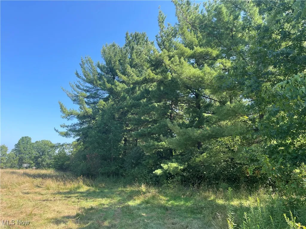 11976 Old State Road, Chardon, Ohio 44024,MLS Now Listing ID