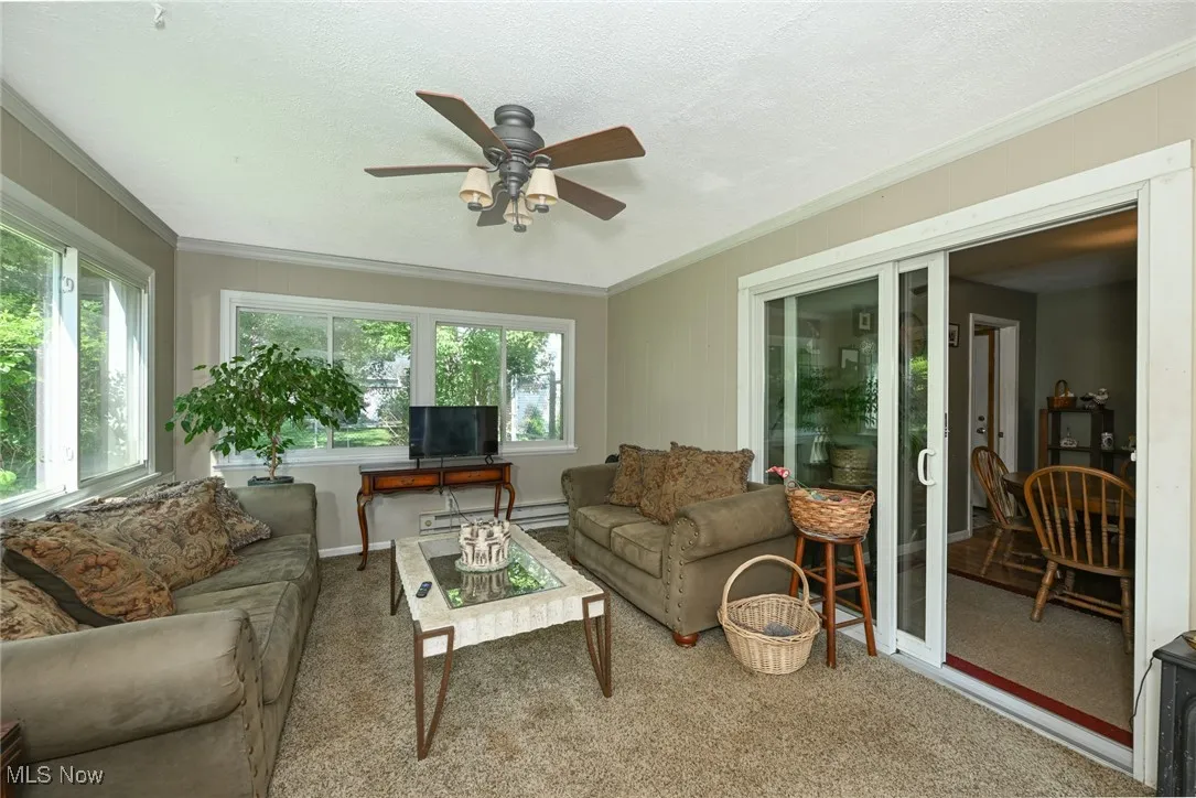 Sun porch with ceiling fan and carpet.