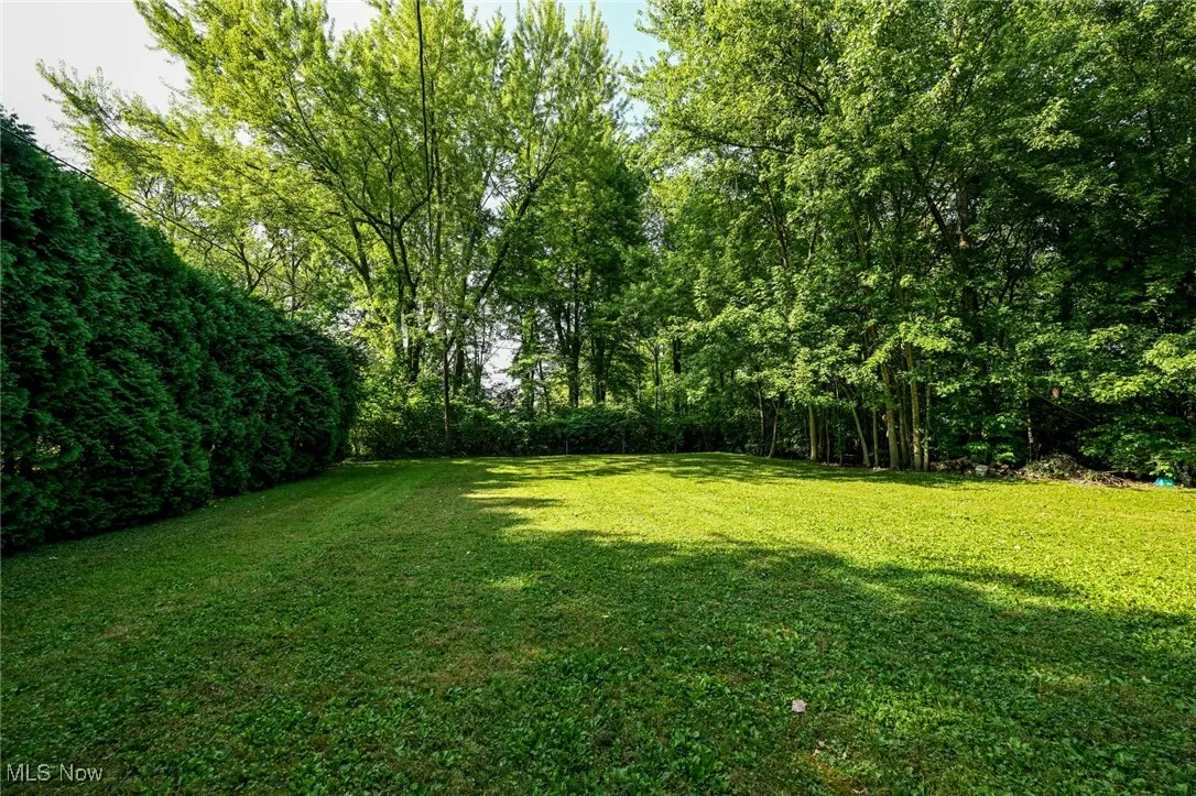 View of the large backyard.
