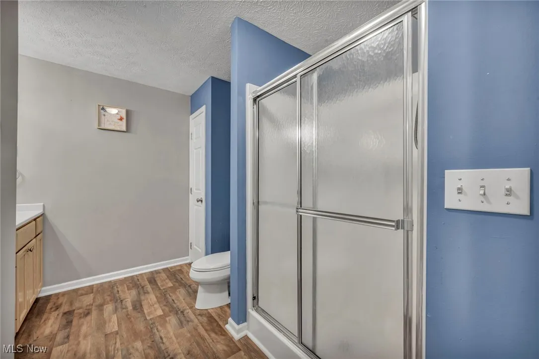 Bathroom featuring dark wood-type flooring, vanity, a textured ceiling, and a shower stall