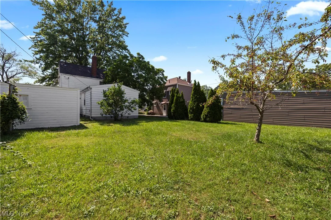 back yard