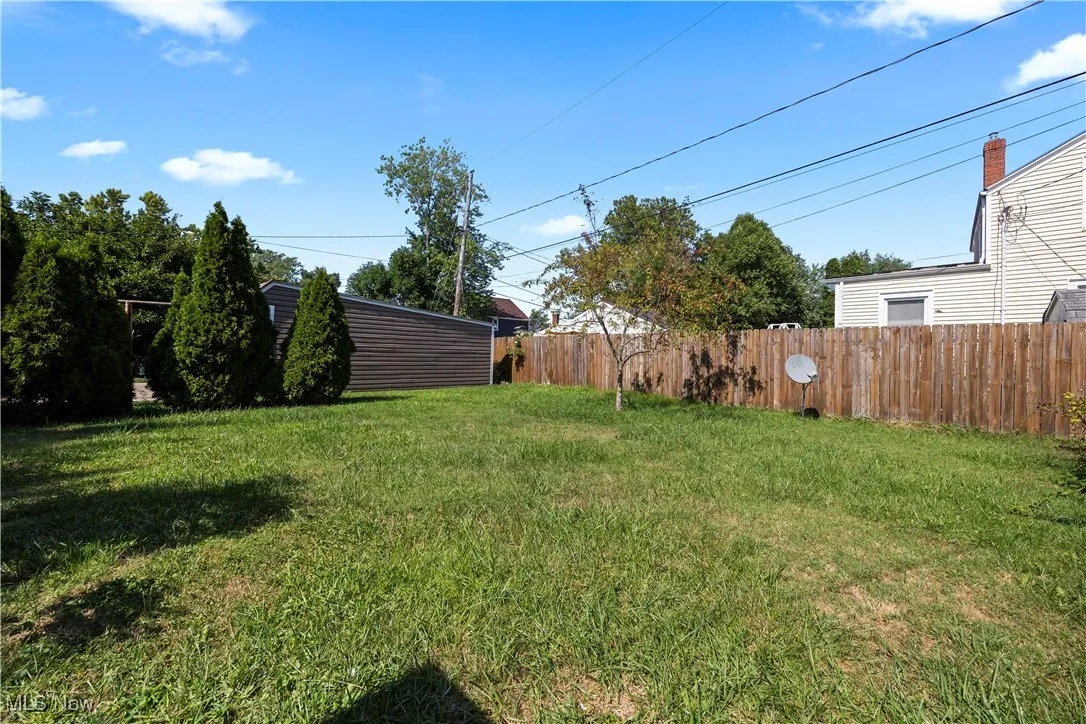back yard