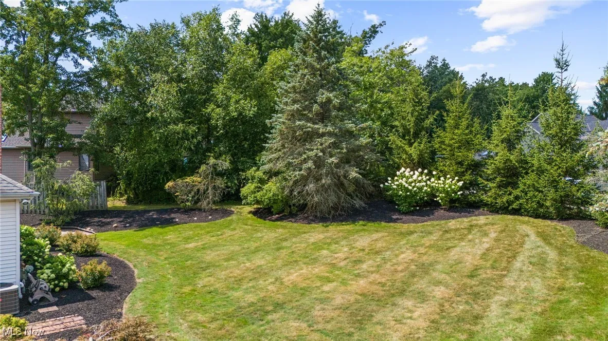 View of green lawn