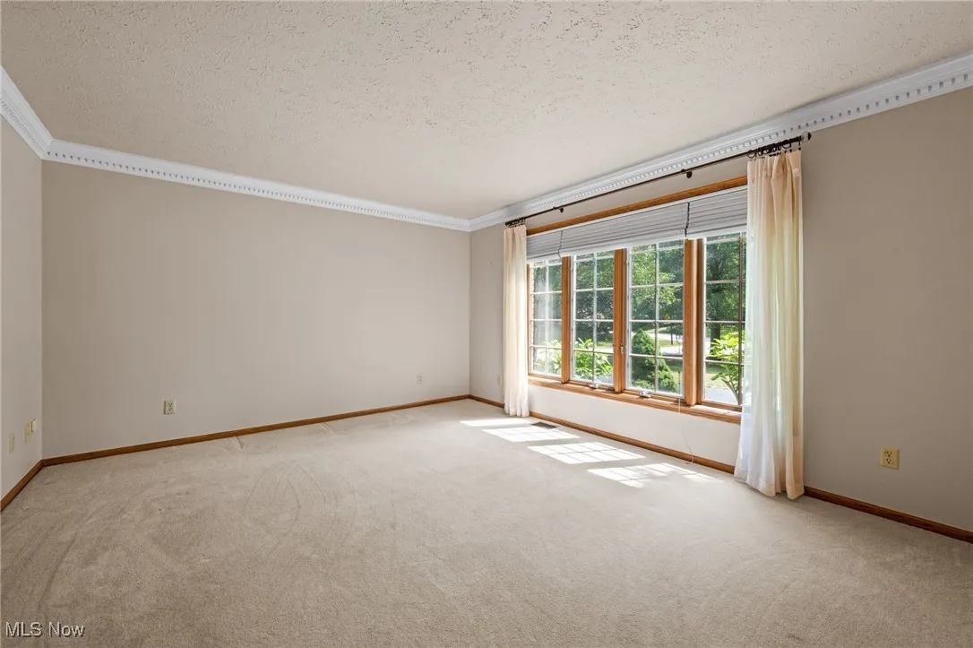 Office featuring crown molding, a textured ceiling, and carpet floors