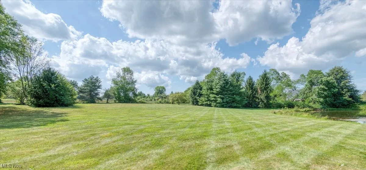 View of green lawn