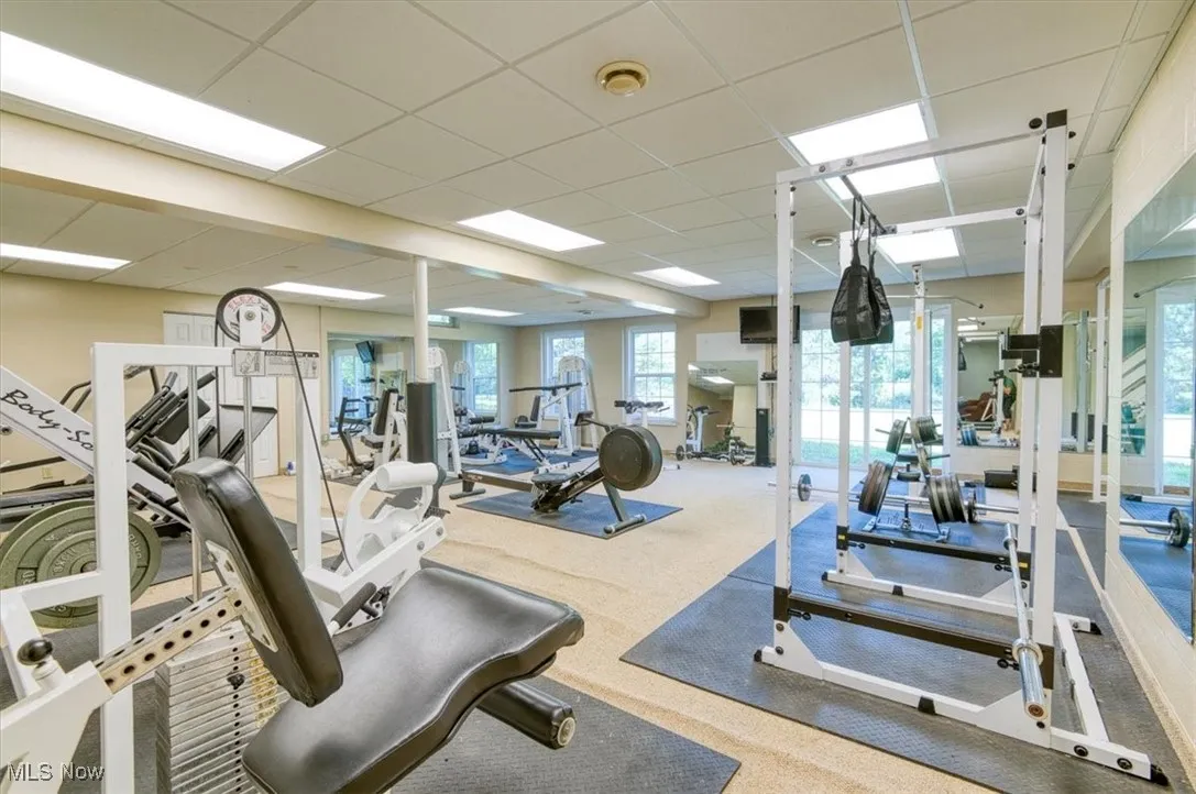 Workout area featuring a drop ceiling and carpet