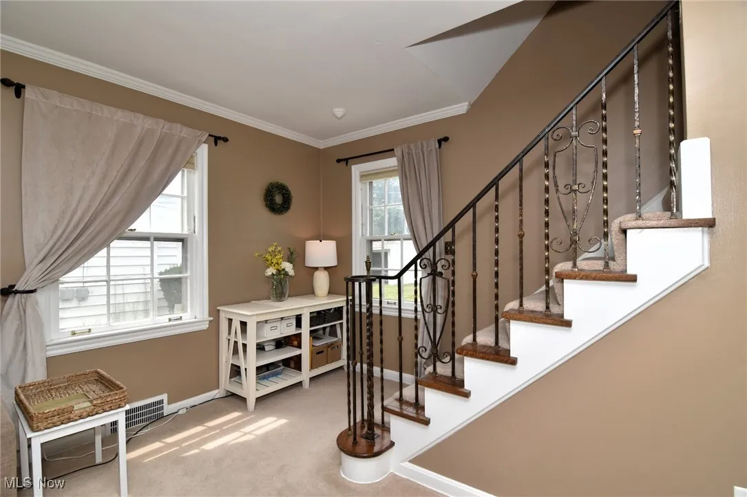 Stairs with ornamental molding and carpet flooring