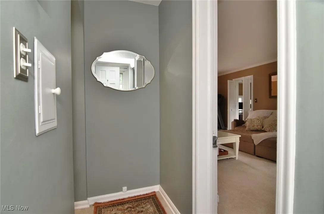 Detailed view of baseboards and carpet
