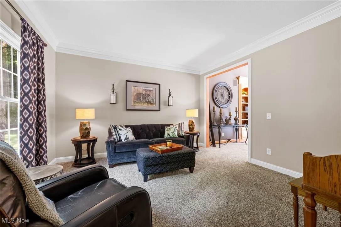 11215 Beechnut Lane, Chardon, Ohio 44024,MLS Now Listing ID