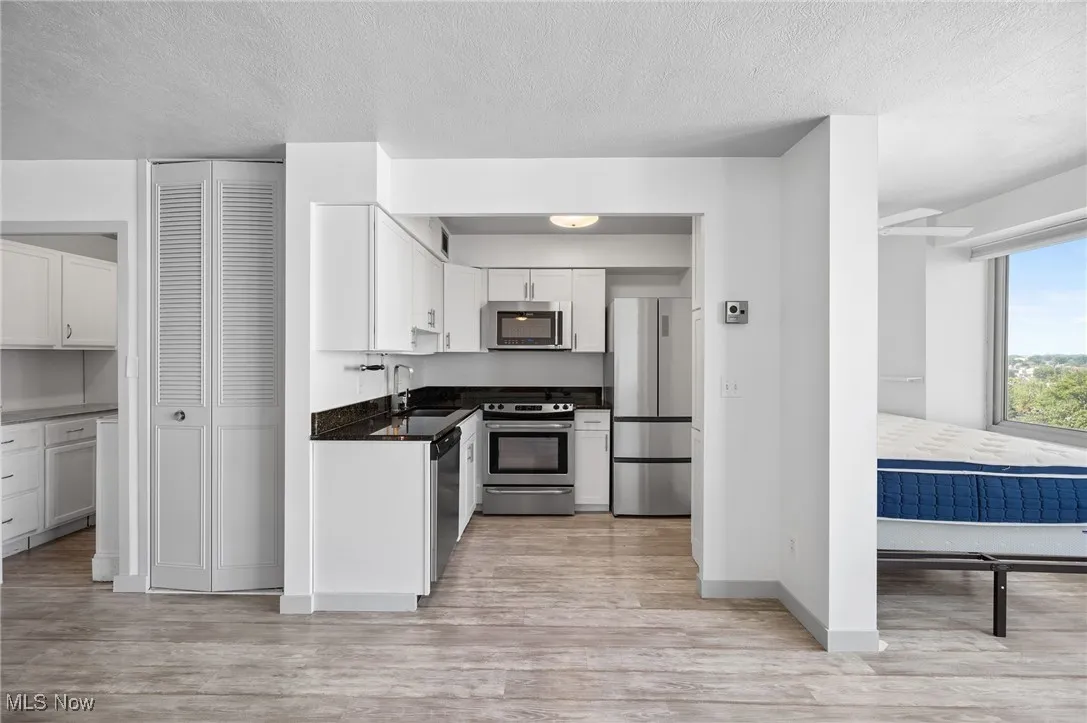 12520 Edgewater Drive # 1503, Lakewood, Ohio 44107,MLS Now Listing ID