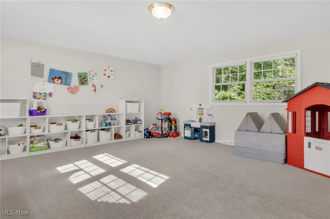 Rec room with carpet flooring