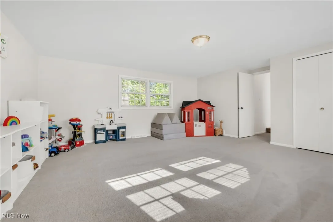Rec room with light carpet