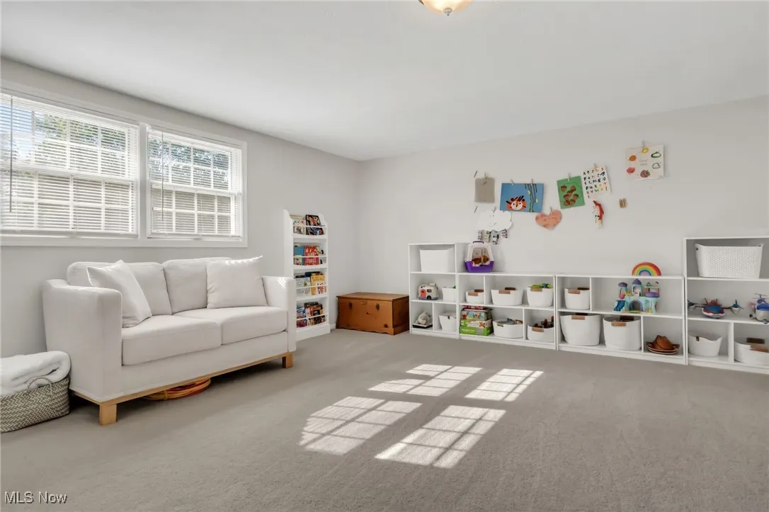 Playroom with carpet flooring
