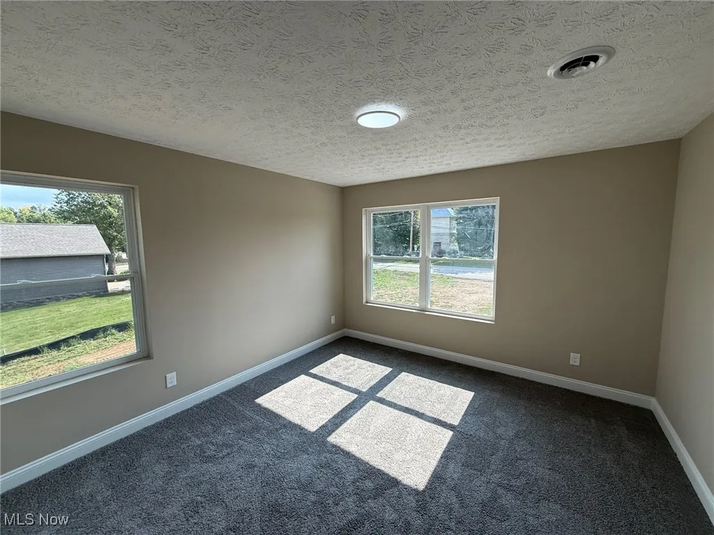 Unfurnished room featuring carpet floors, plenty of natural light, and a textured ceiling