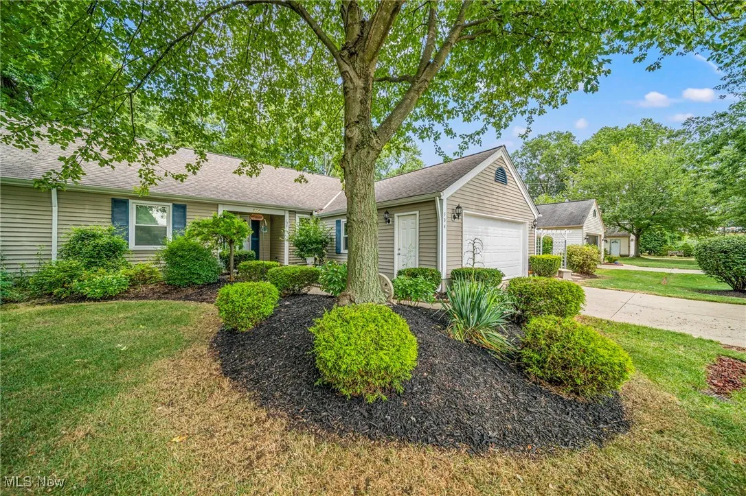 Single story home featuring concrete driveway, a front yard, roof with shingles, and an attached garage
