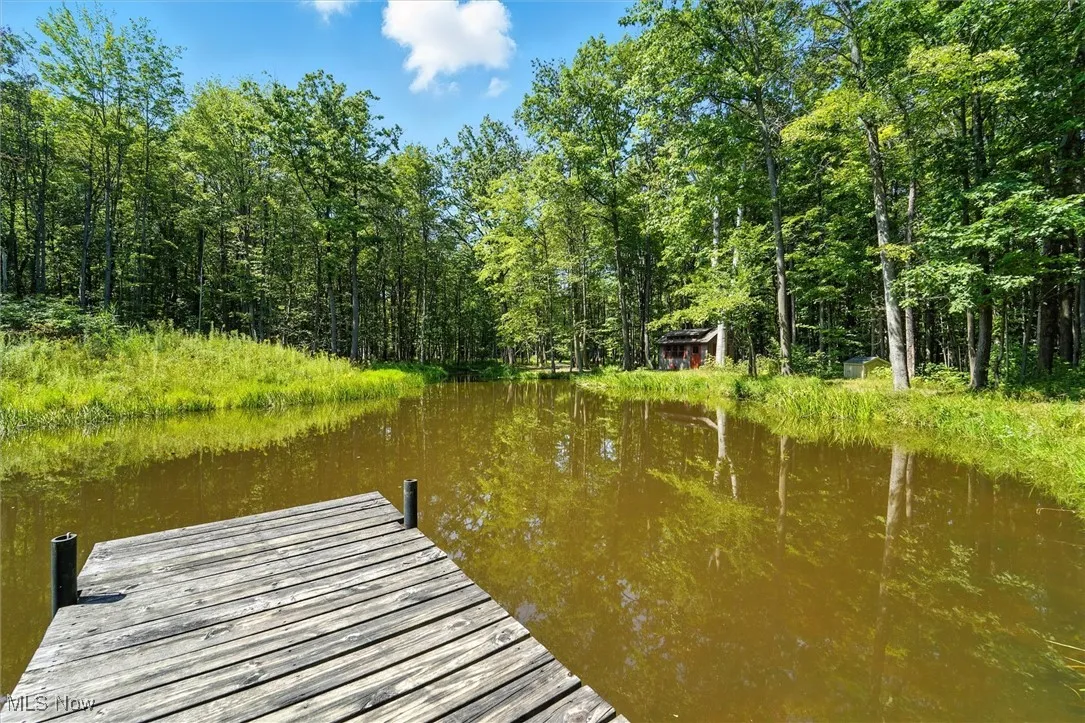 20x6 wooden dock overlooking the pond