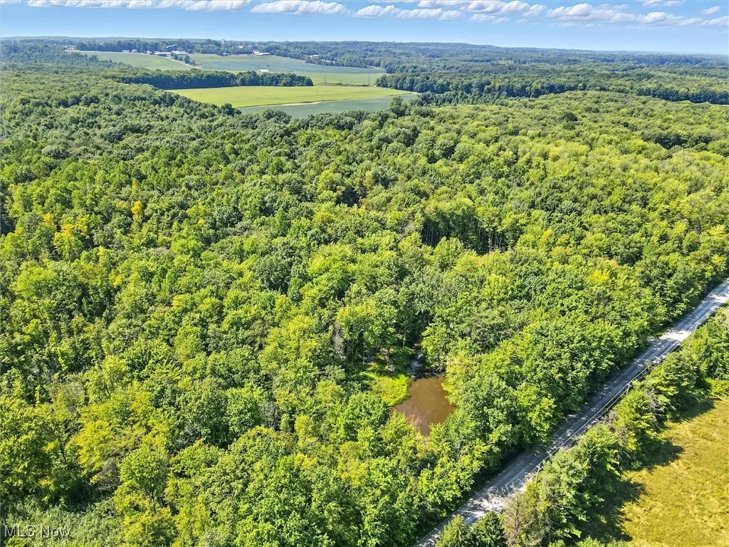 7454 Sidley Road, Thompson, Ohio 44086,MLS Now Listing ID