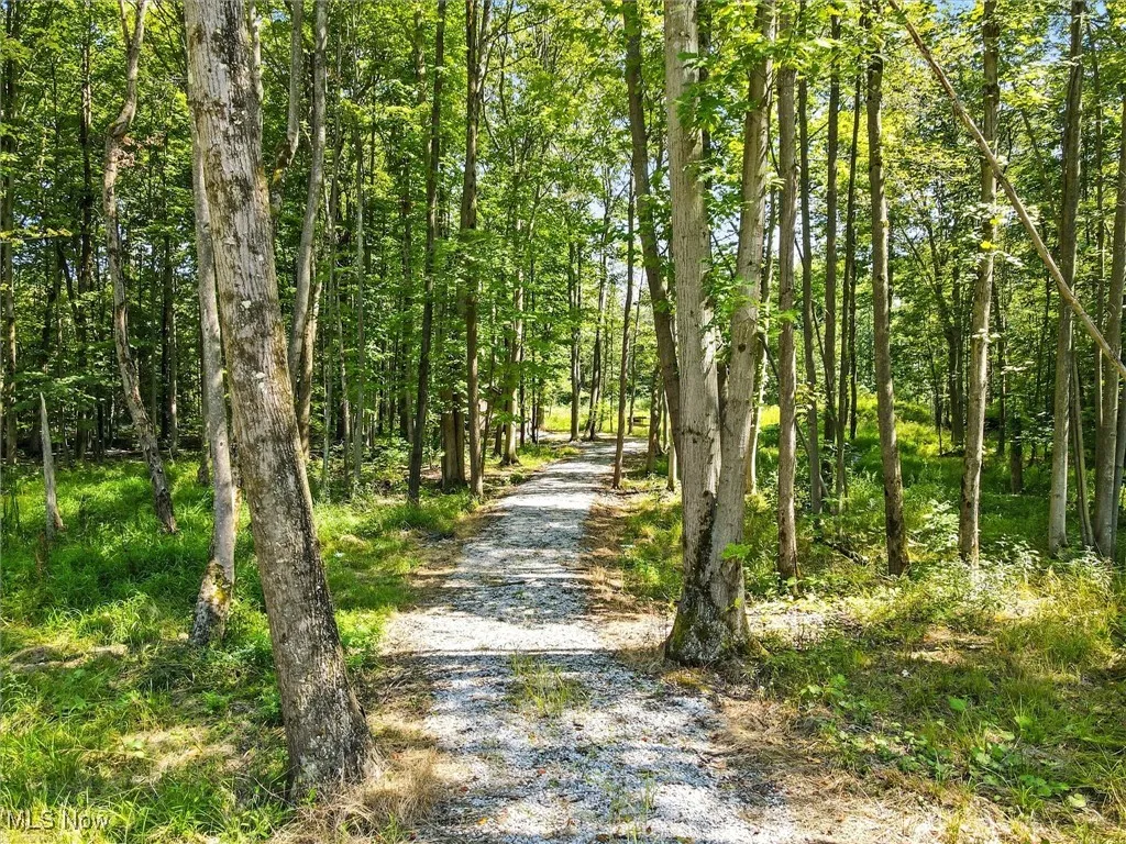 View of the driveway