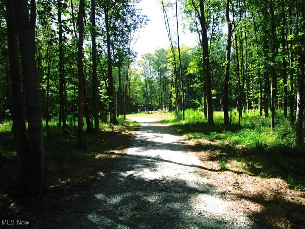 Gravel driveway