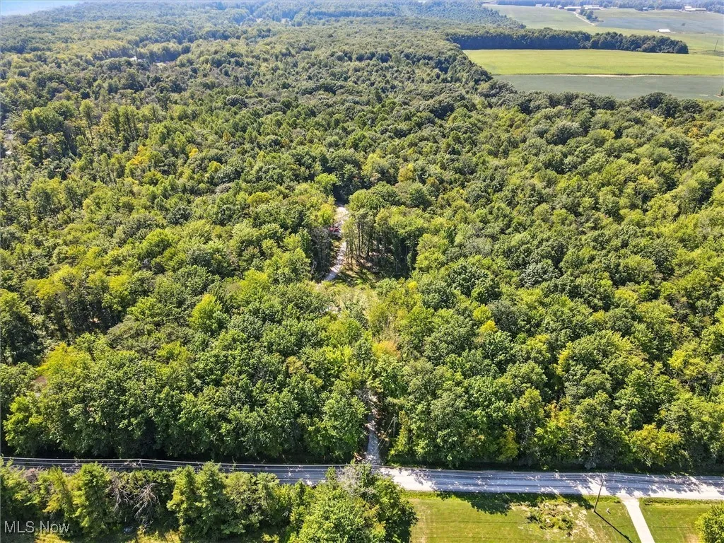 7454 Sidley Road, Thompson, Ohio 44086,MLS Now Listing ID