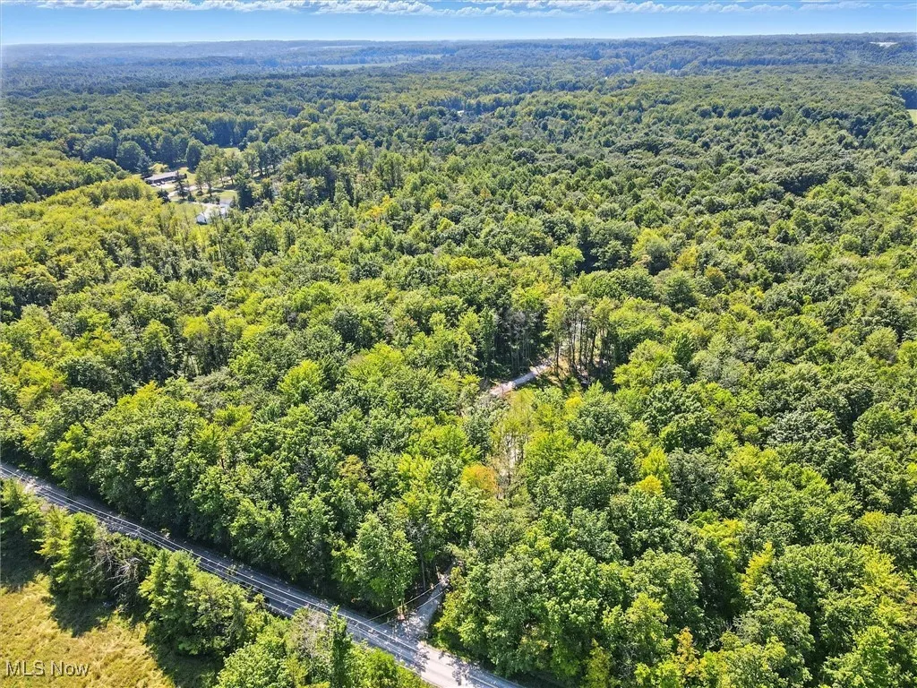 7454 Sidley Road, Thompson, Ohio 44086,MLS Now Listing ID