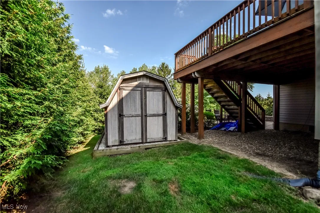 Shed and privacy hedge