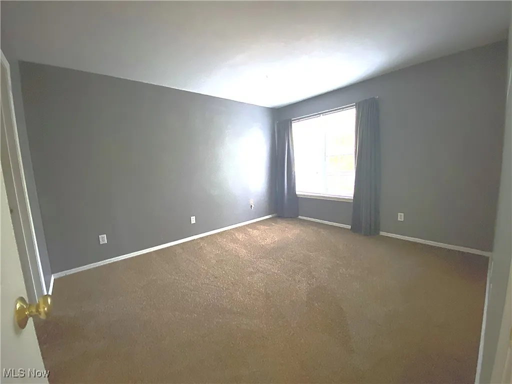 second bedroom with carpet and window