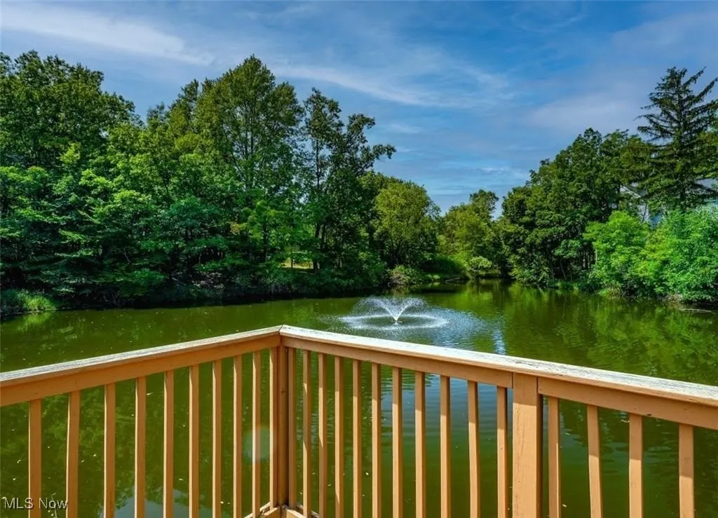 community pond with water feature
