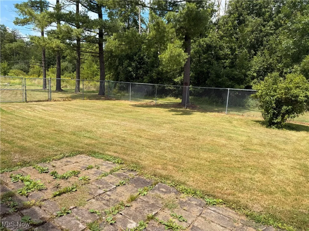 Enclosed dog run
