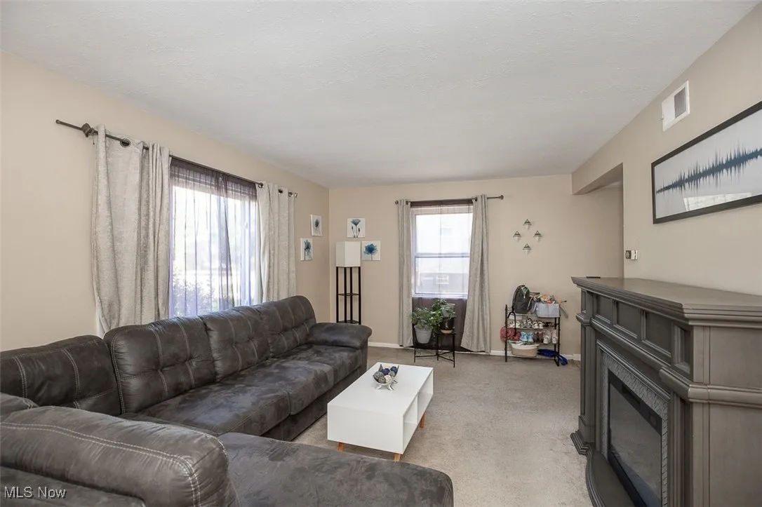 Carpeted living area featuring plenty of natural light and a glass covered fireplace