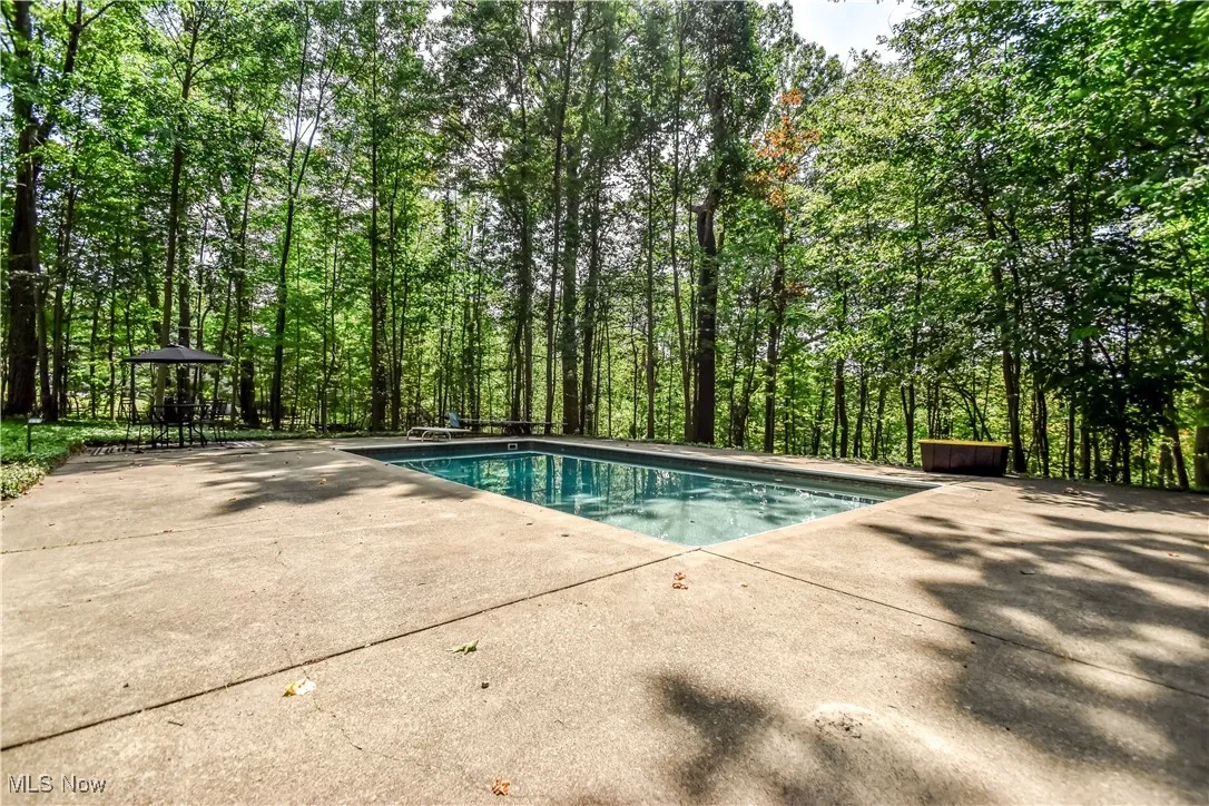 Swimming pool featuring a patio area and a diving board